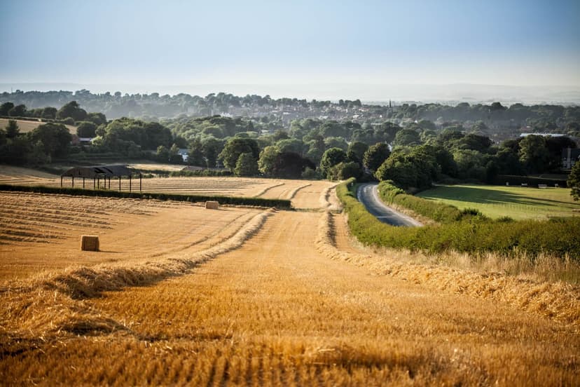 Walk: Norton and Menethorpe
