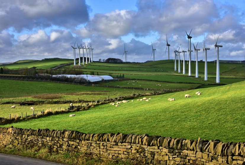 Walk: Scout Dike, Royd Moor and Ingbirchworth Reservoirs