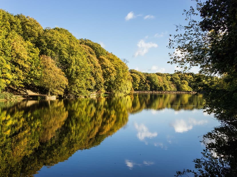 Walk: Chellow Dene