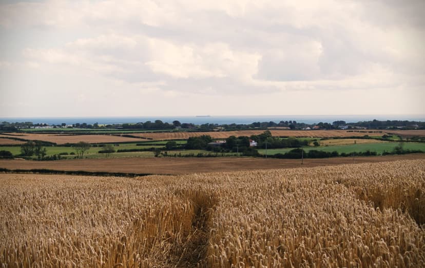 Walk: Hunmanby Circular Walk