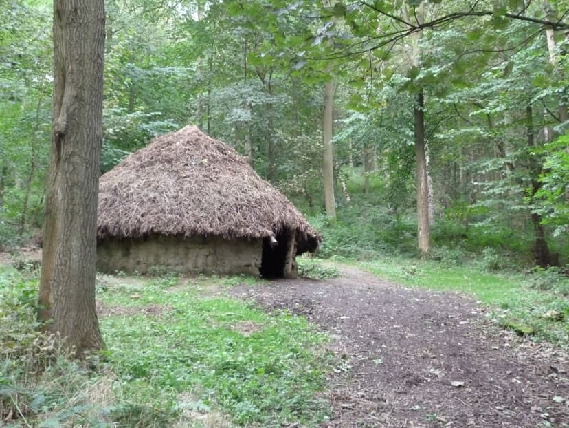 Walk: Raincliffe Woods