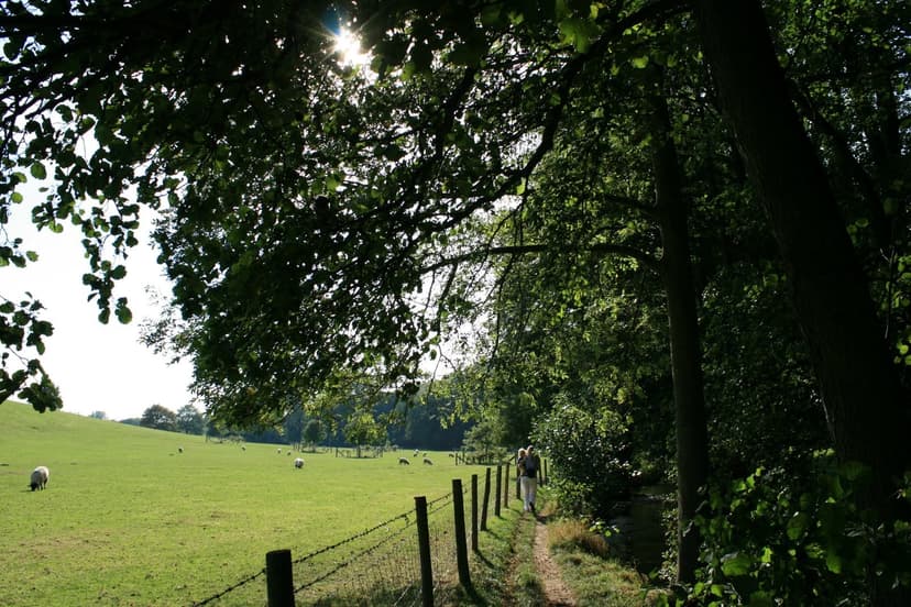Walk: Thornton-le-Dale