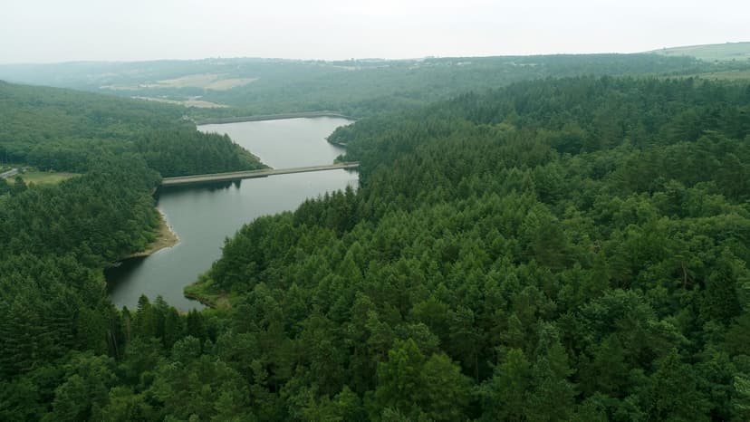 Walk: Rivelin Dams Reservoirs