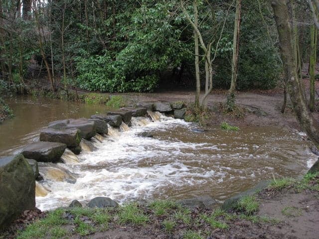 Walk: Endcliffe Park