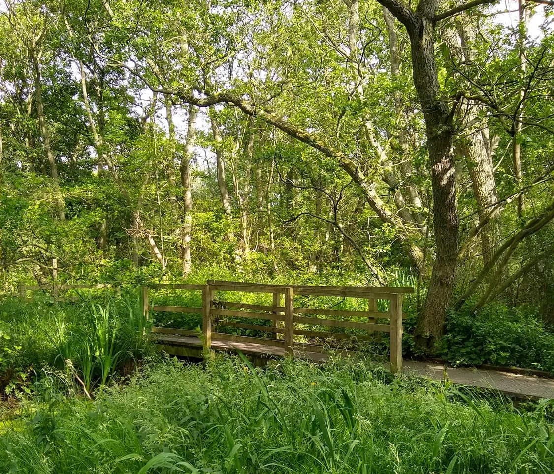 Walk: Askham Bar to Askham Bog and Copmanthorpe Trail
