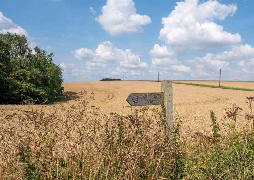 Walk: The Centenary Way