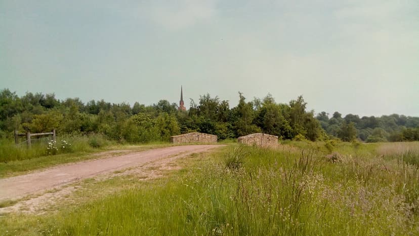 Walk: Brodsworth Community Woodland