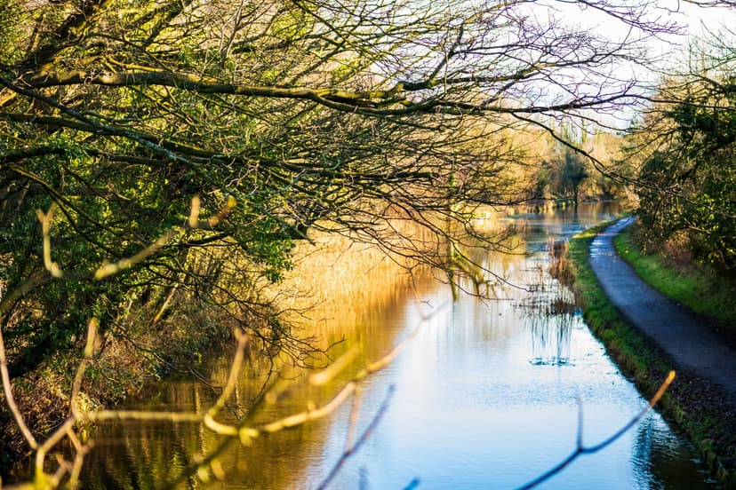 Walk: Cowlam and Cottam