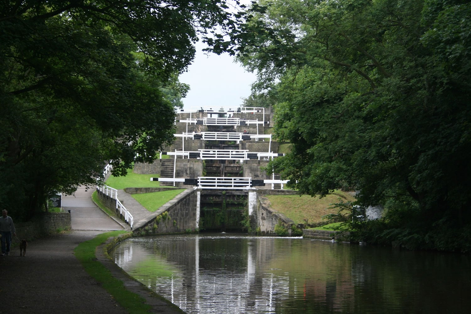 Bingley