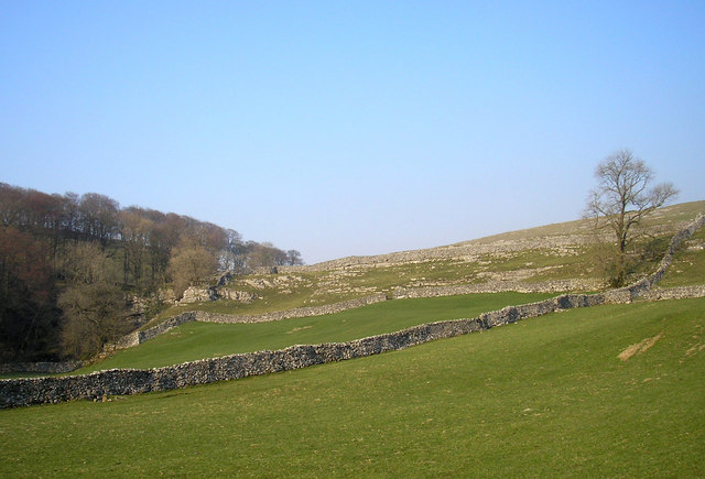 Brackenbottom