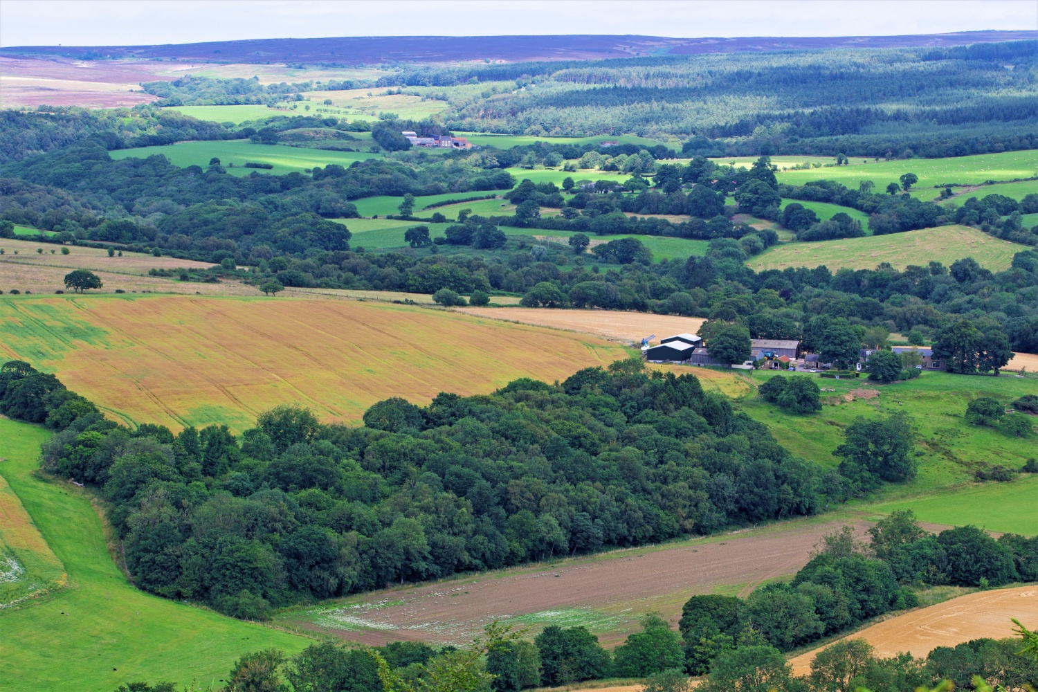 Broxa, North Yorkshire