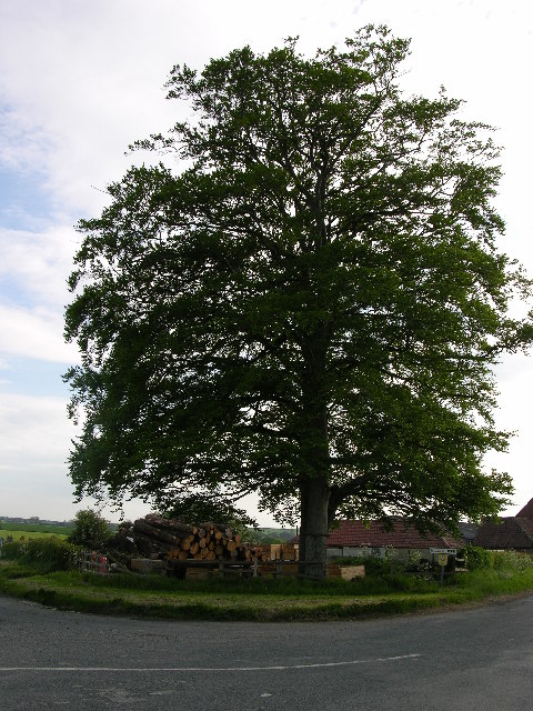Eddlethorpe