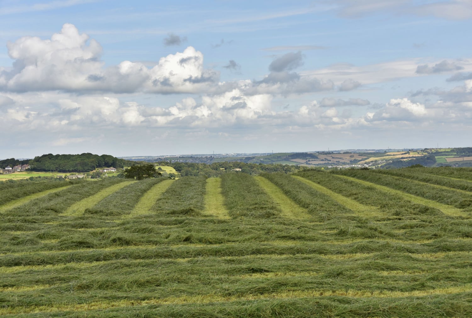 Farnley tyas