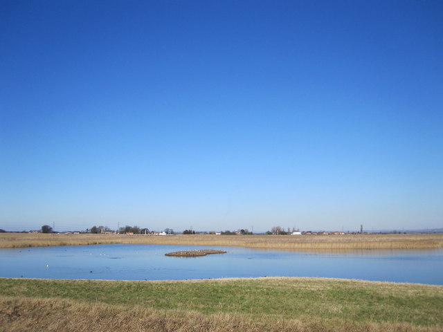 Yokefleet