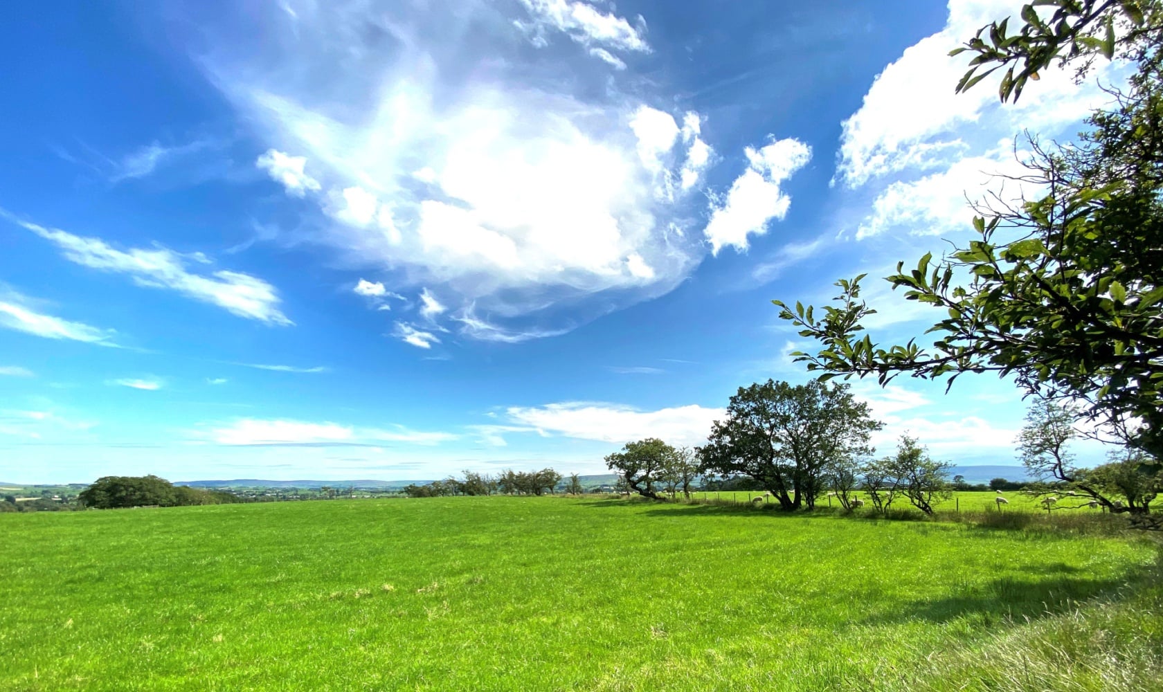 Halton West