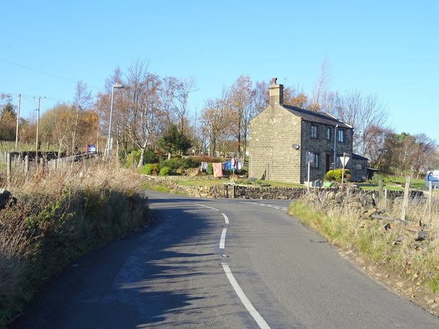 Holt Head