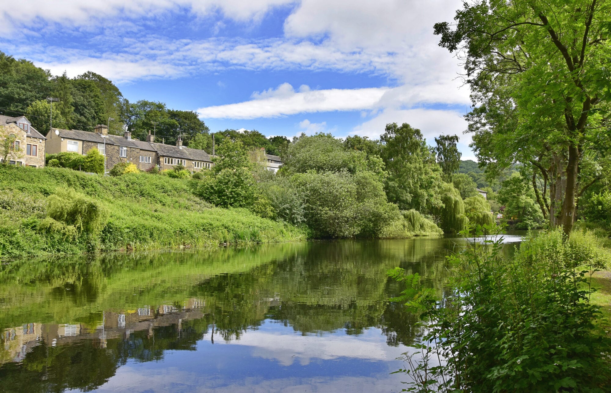 Honley