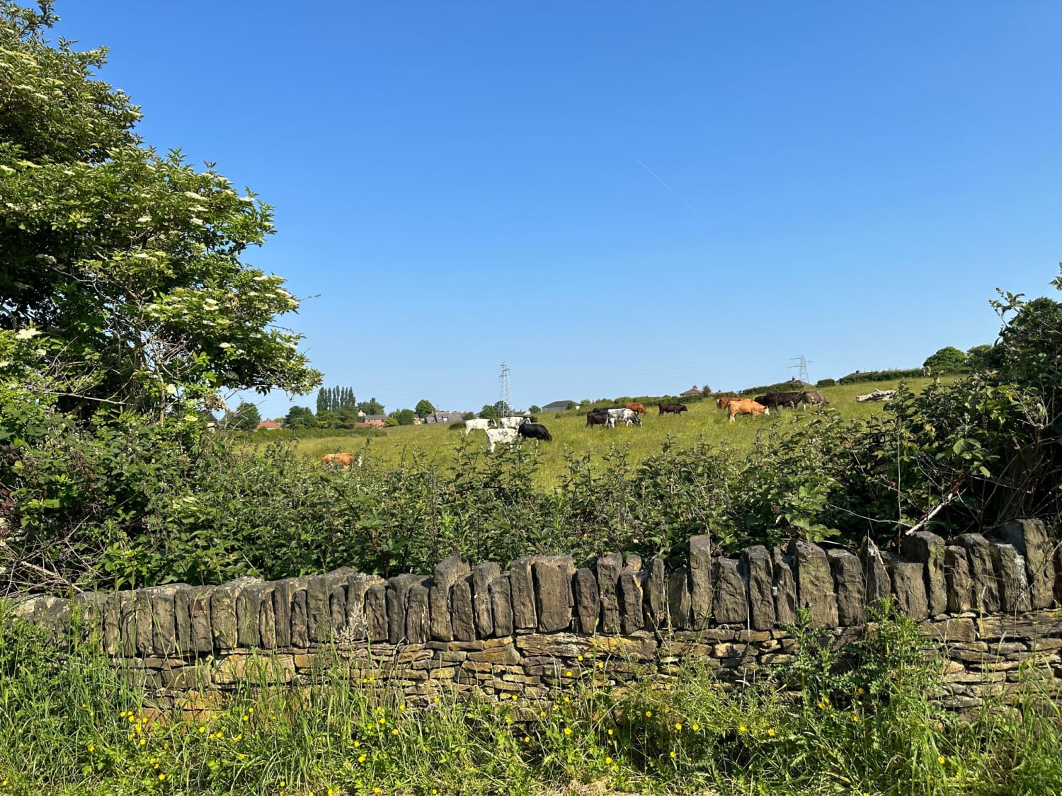 Liversedge