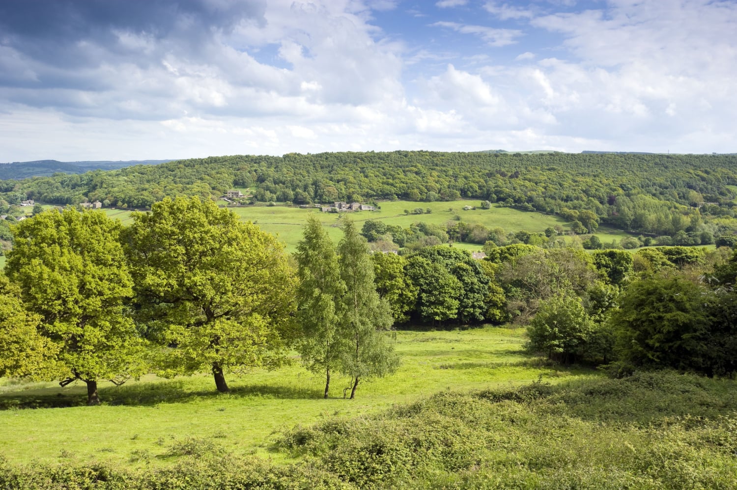 Meltham