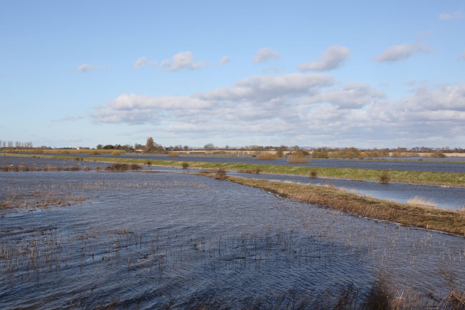 North Duffield