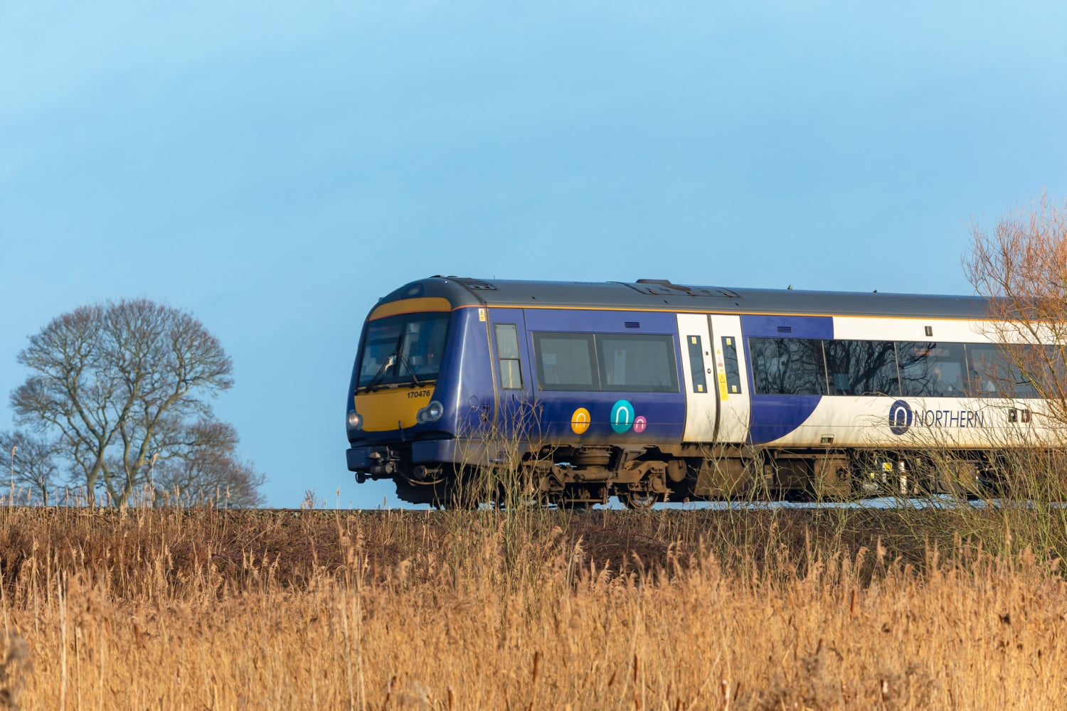 Saltmarshe