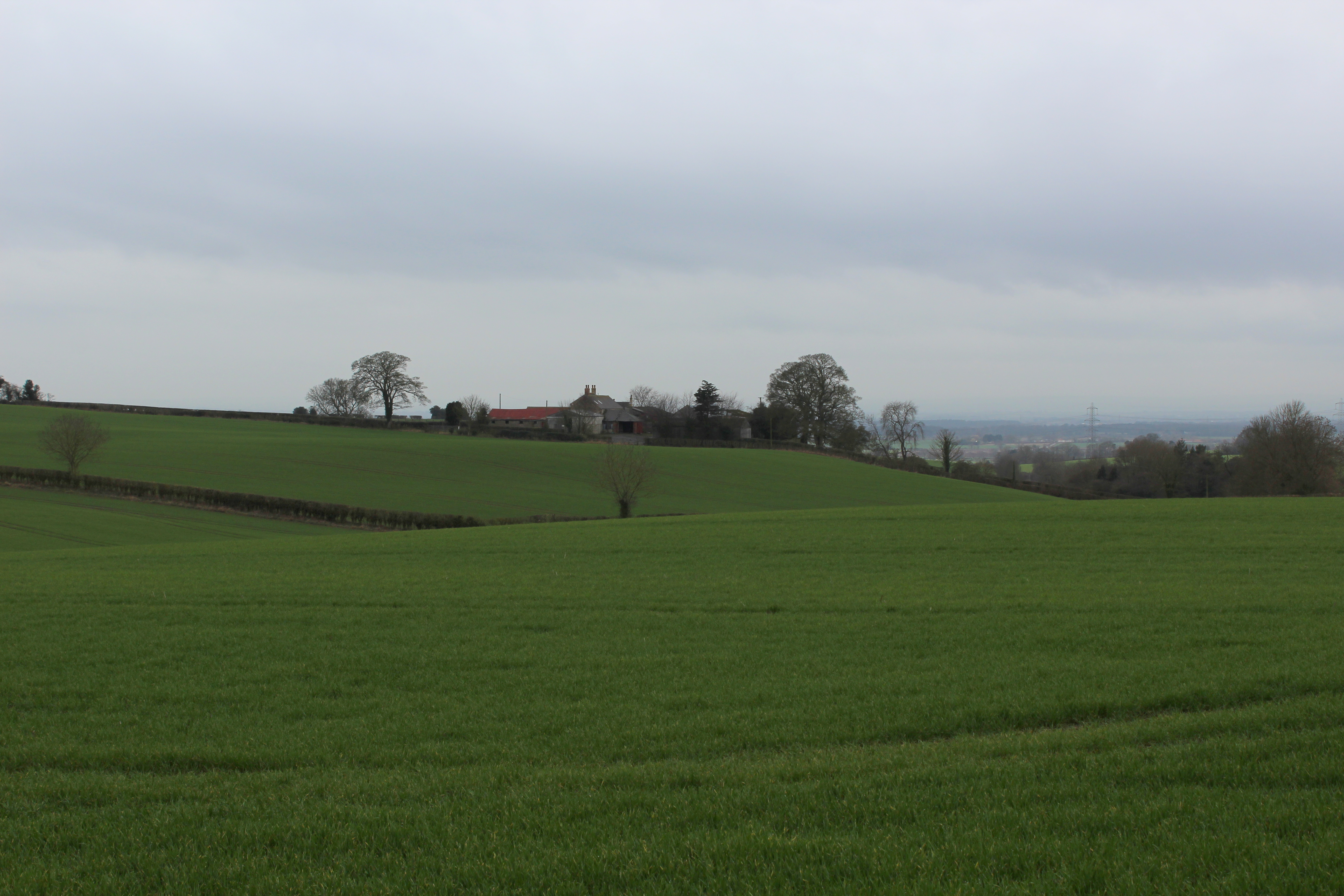 Thornton-on-the-Hill