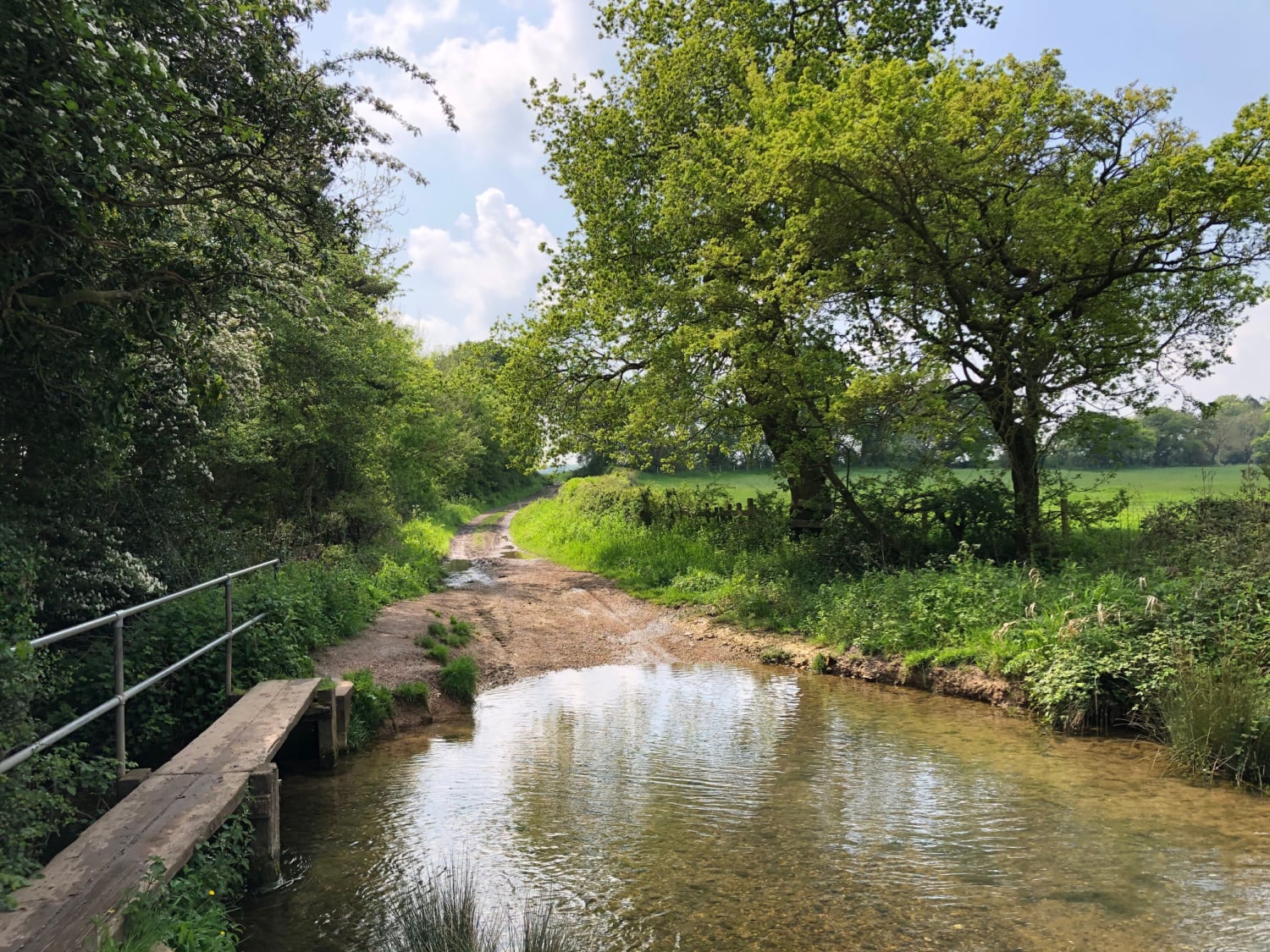 Thorpe