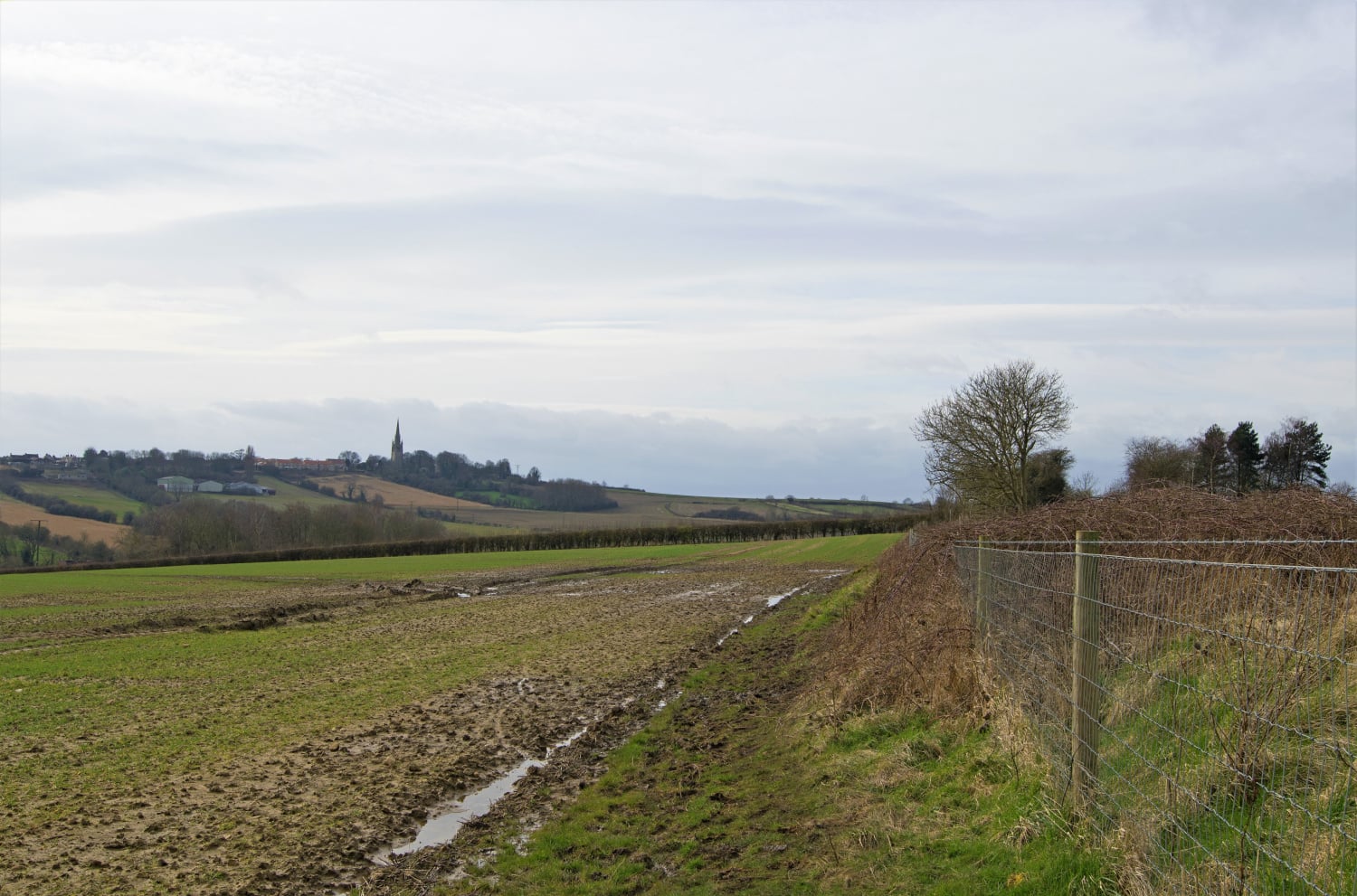 Thurcroft