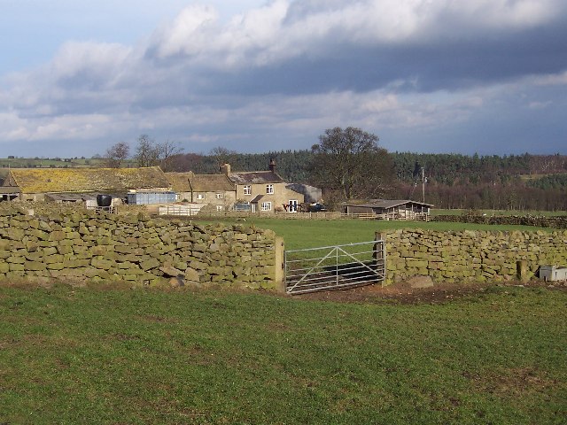 Warsill