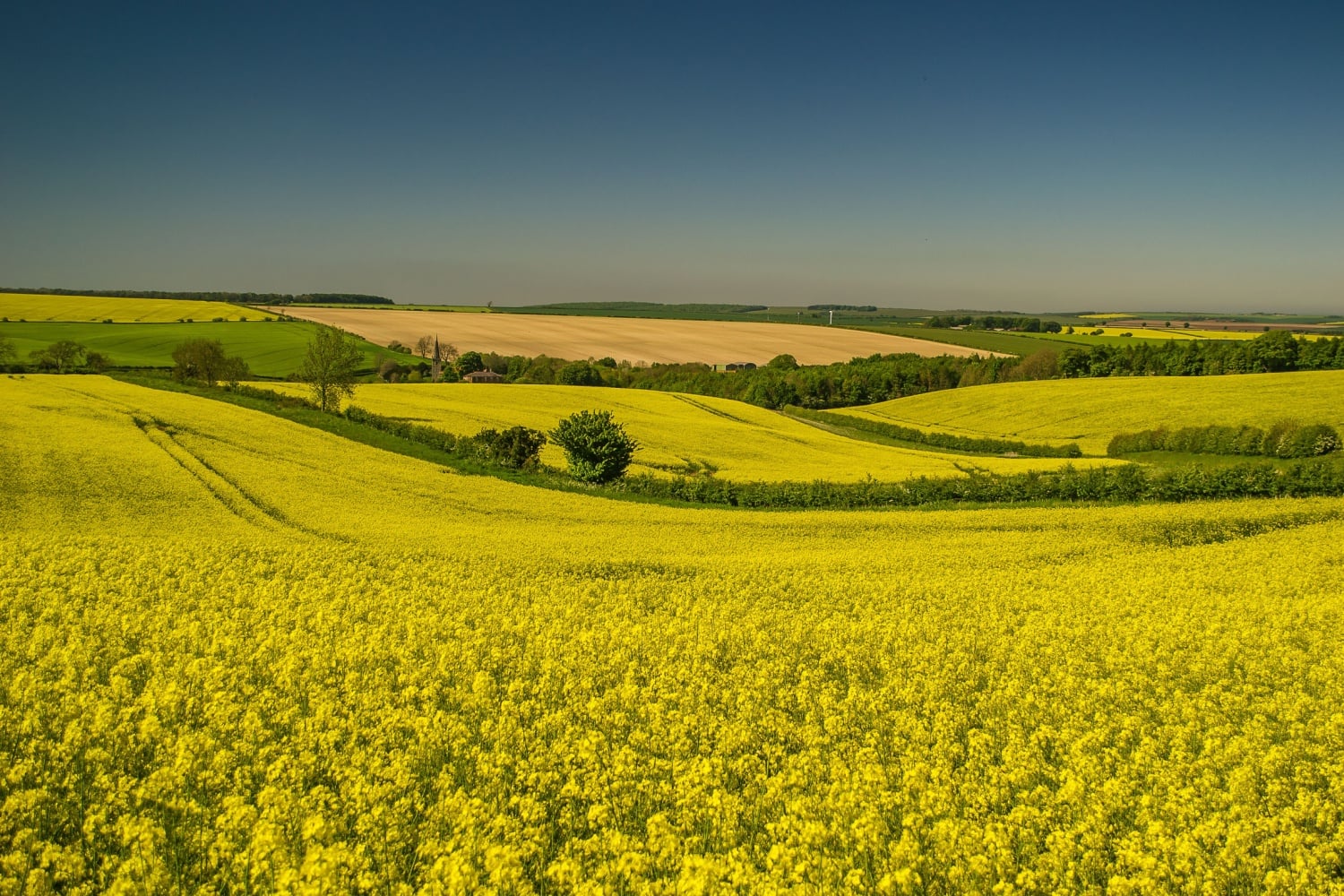 West lutton