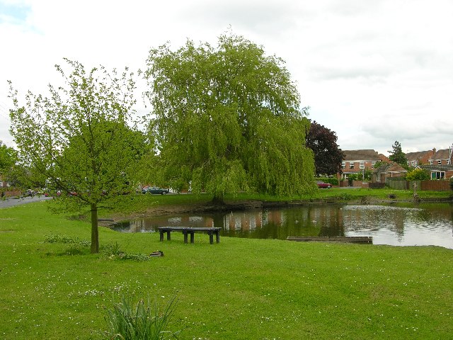 Wigginton