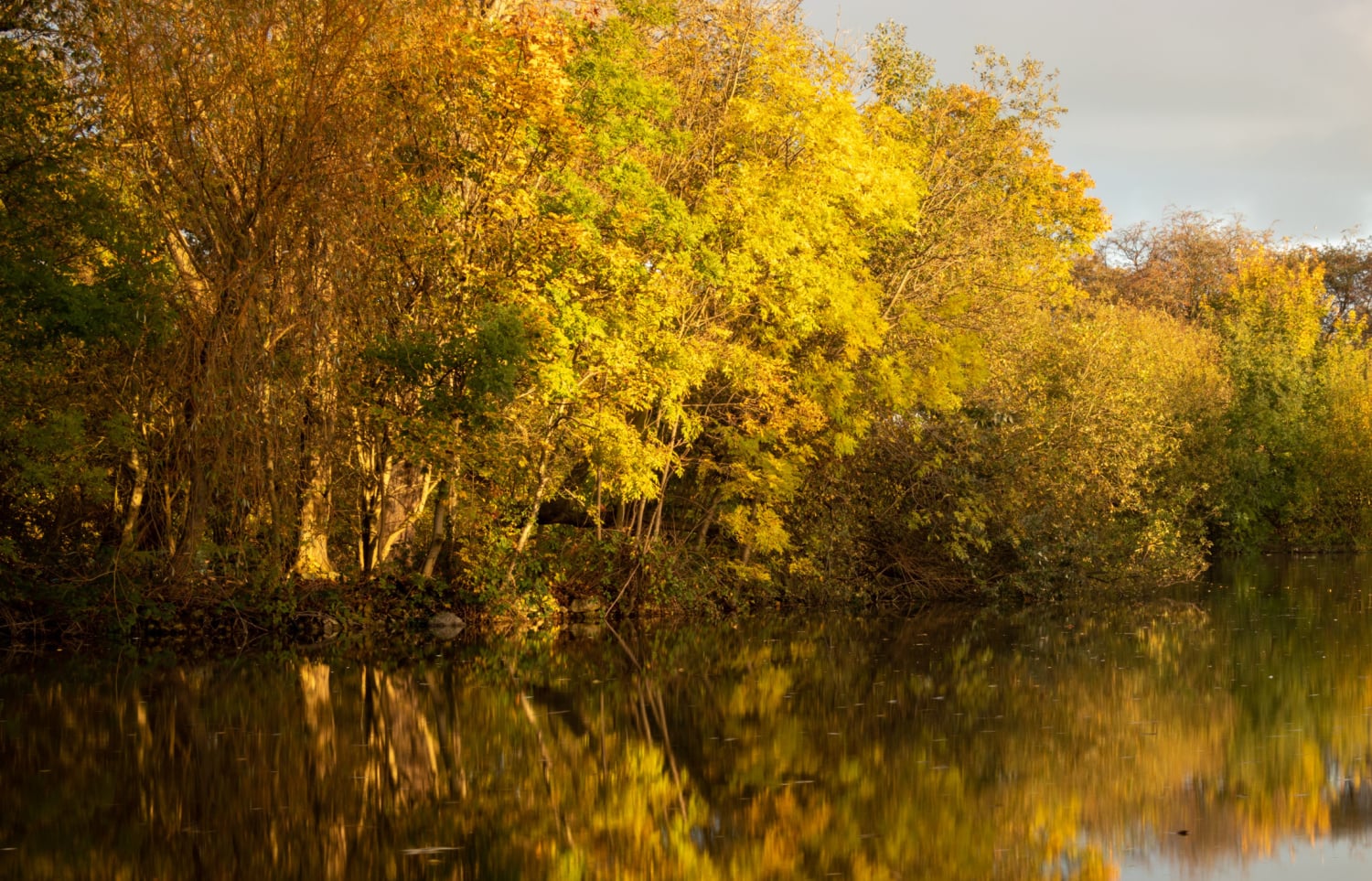 Walk: Sandall Park