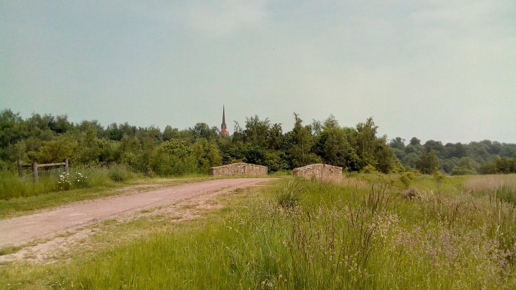 Brodsworth Community Woodland