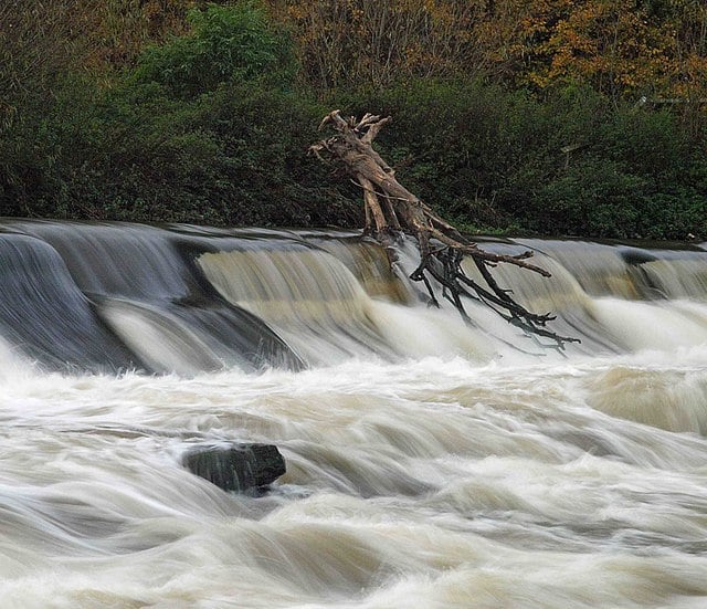 Walk: Sprotbrough Falls