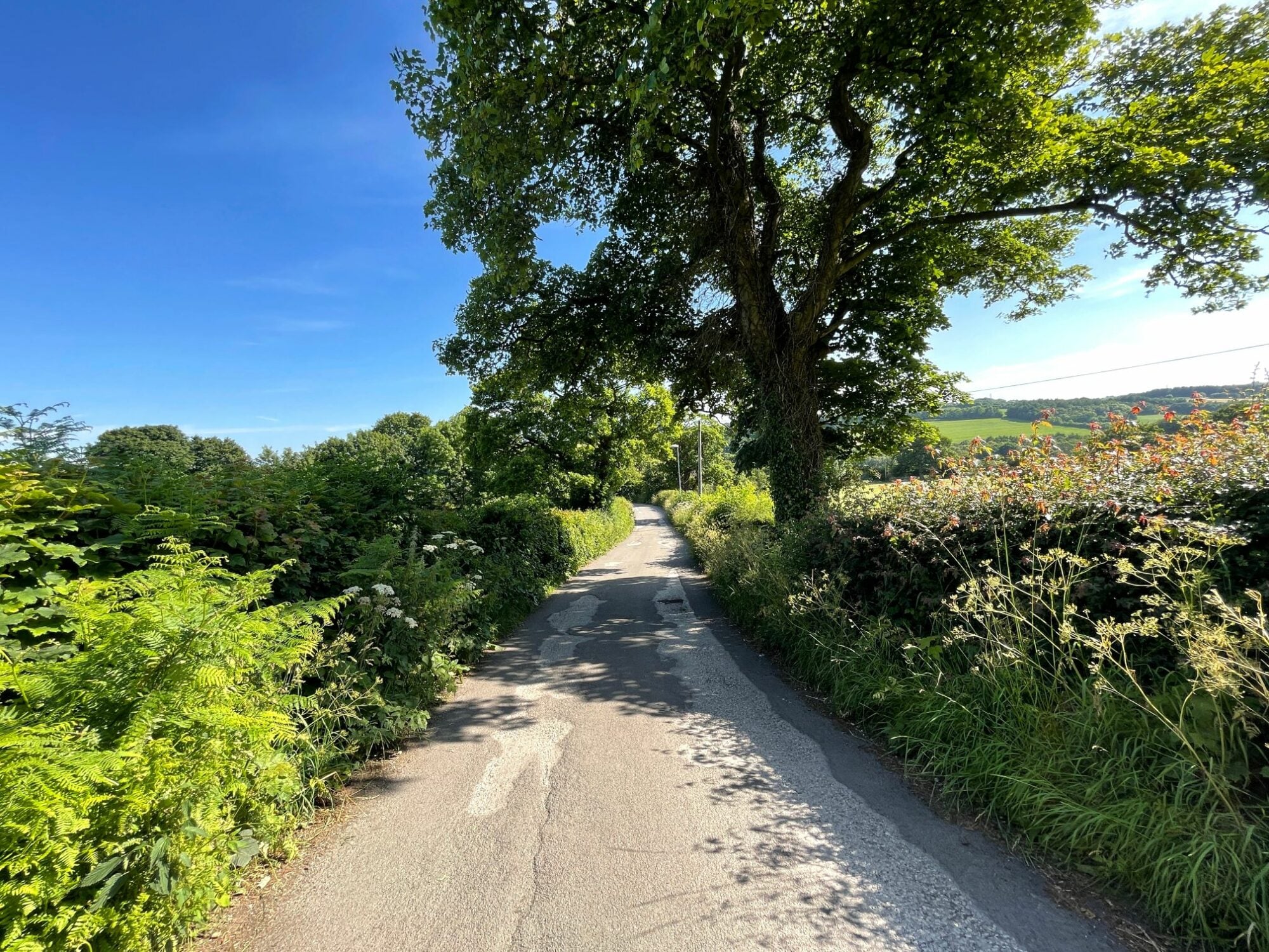 Walk: Pudsey Circular