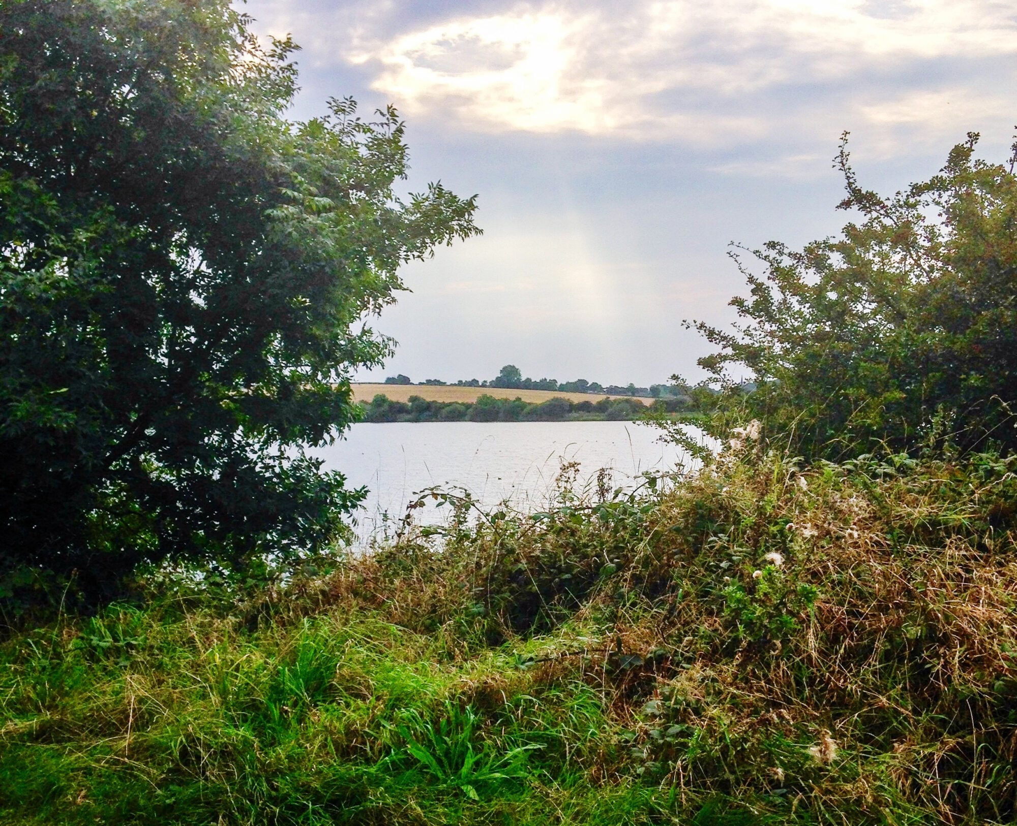 Walk: Thrybergh Country Park