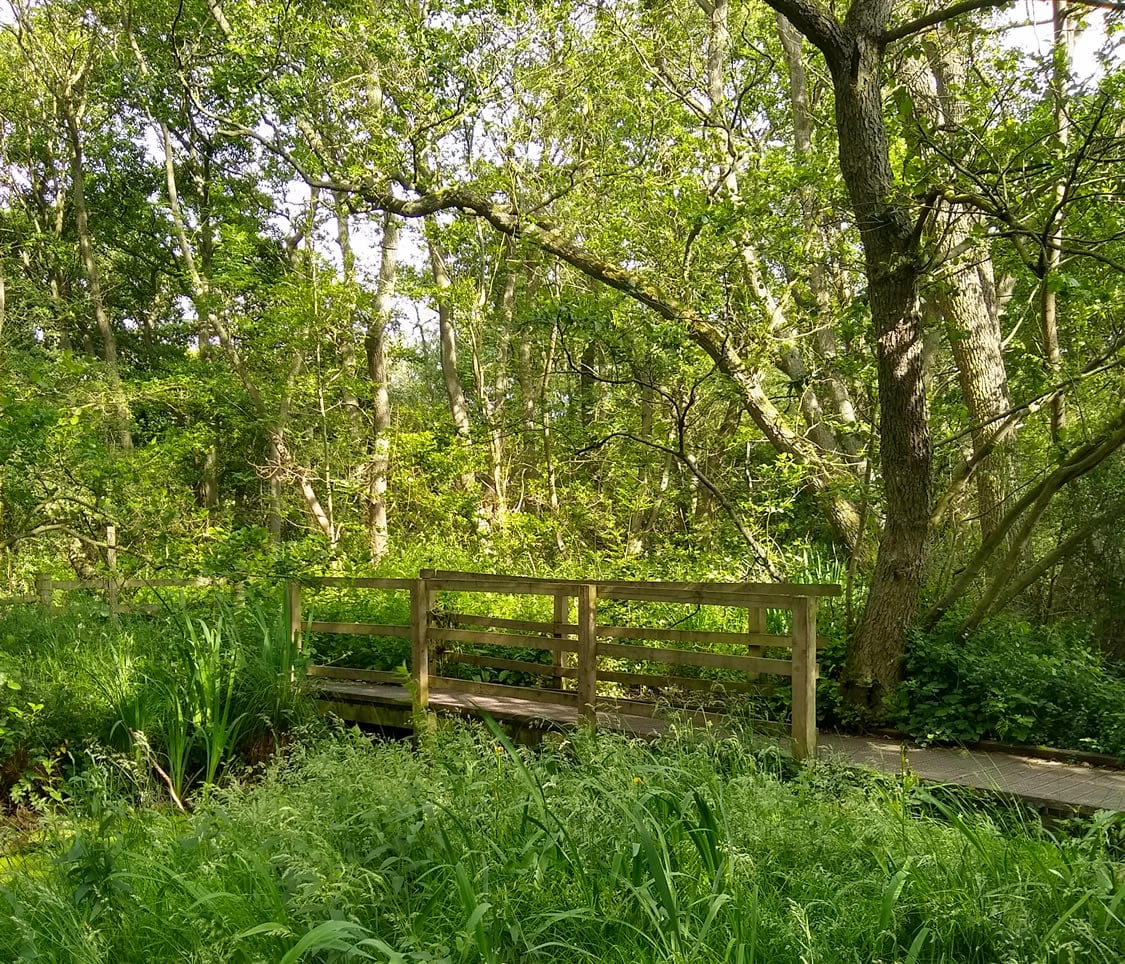 Walk: Askham Bar to Askham Bog and Copmanthorpe Trail