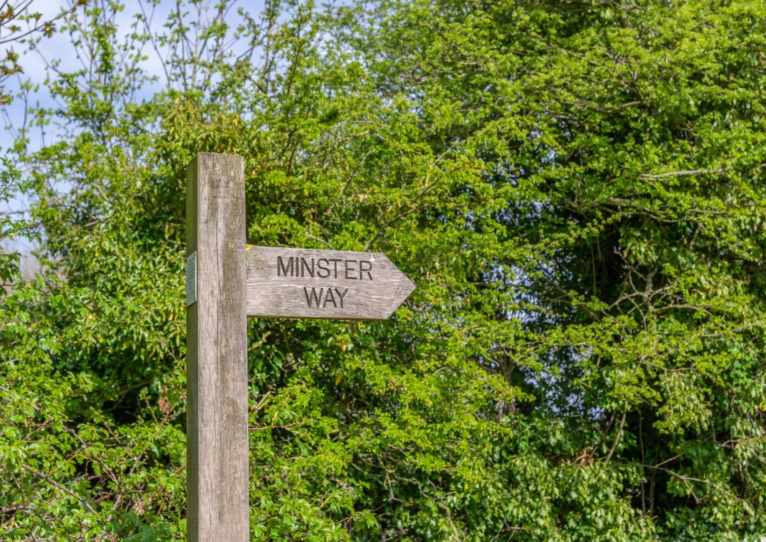 Walk: Minster Way