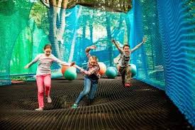 treetop nets Ripon